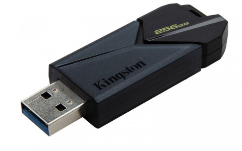 Kingston Pendrive Data Traveler Exodia Onyx 256GB USB3.2 Gen1 Kingston Pendrive Data Traveler Exodia Onyx 256GB USB3.2 Gen1