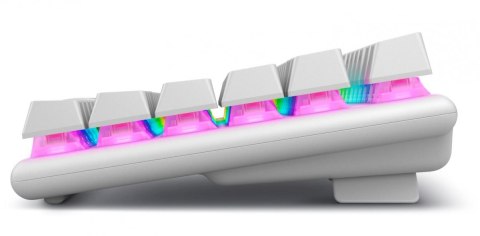 Dell Klawiatura bezprzewodowa Alienware Pro US QWERTY Lunar Light Dell Klawiatura bezprzewodowa Alienware Pro US QWERTY Lunar Light
