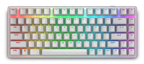 Dell Klawiatura bezprzewodowa Alienware Pro US QWERTY Lunar Light Dell Klawiatura bezprzewodowa Alienware Pro US QWERTY Lunar Light