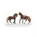 Schleich Zestaw startowy Horse Club Paso peruwiański