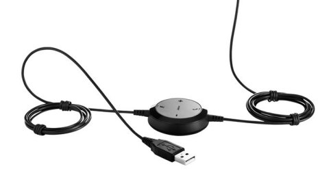Jabra Evolve 20 Duo Jabra Evolve 20 Duo